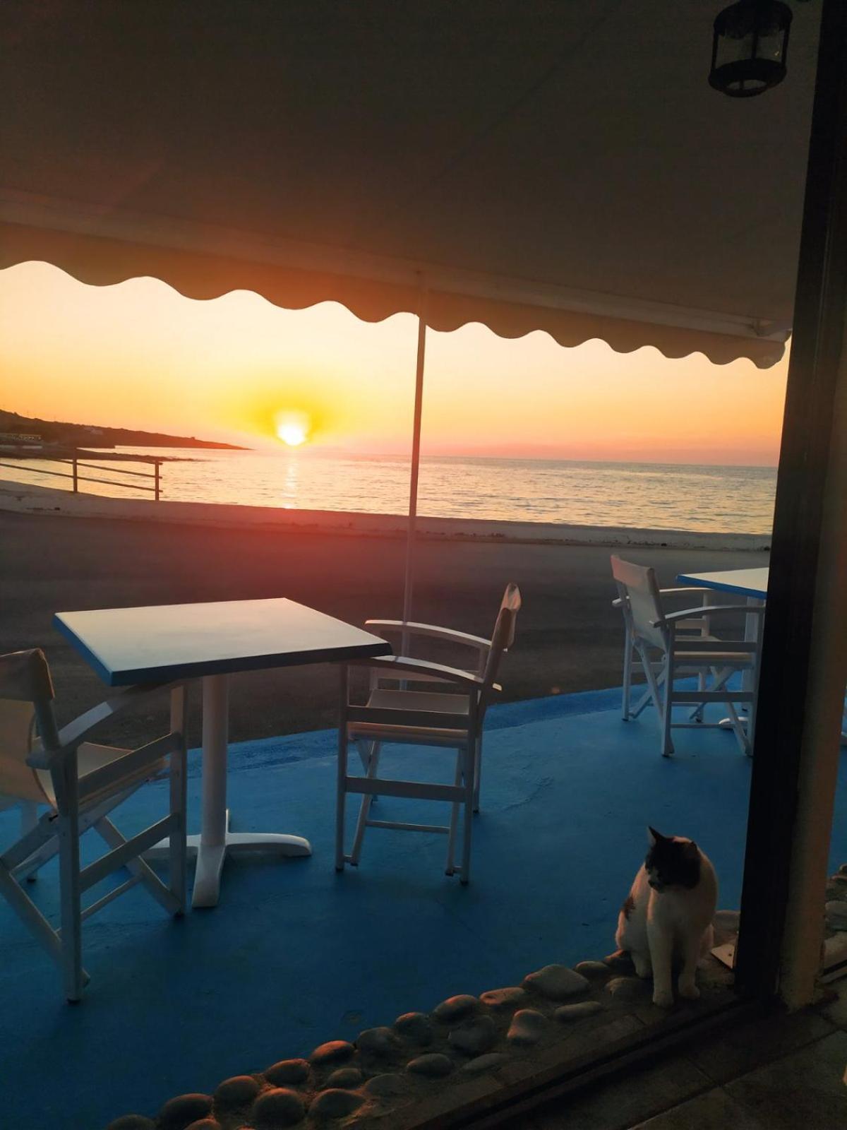 Meltemi Beach Apartments Mílatos Buitenkant foto